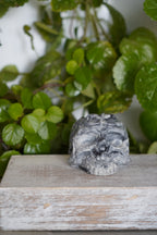 Filigree Skull