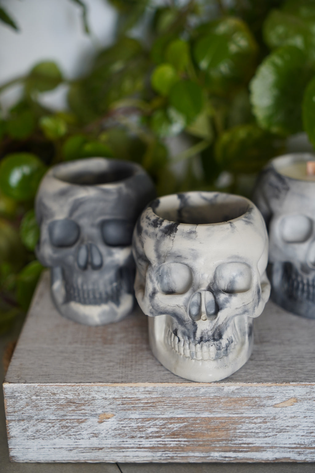 Realistic Skull