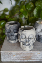 Realistic Skull