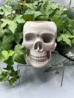 Realistic Skull